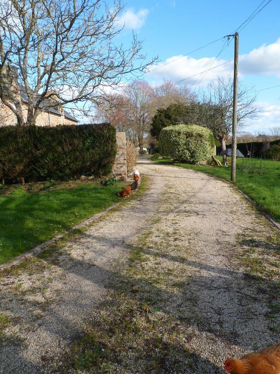 Farmhouse In An Amazing Private Park Guest House Vannes Eksteriør bilde