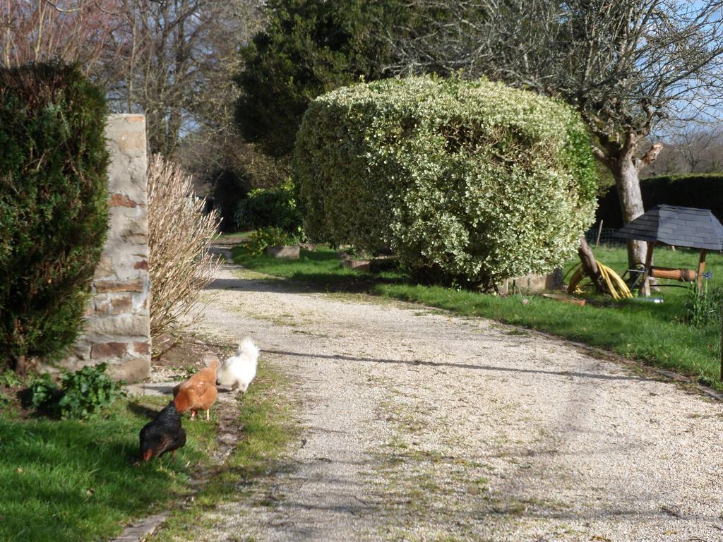 Farmhouse In An Amazing Private Park Guest House Vannes Eksteriør bilde